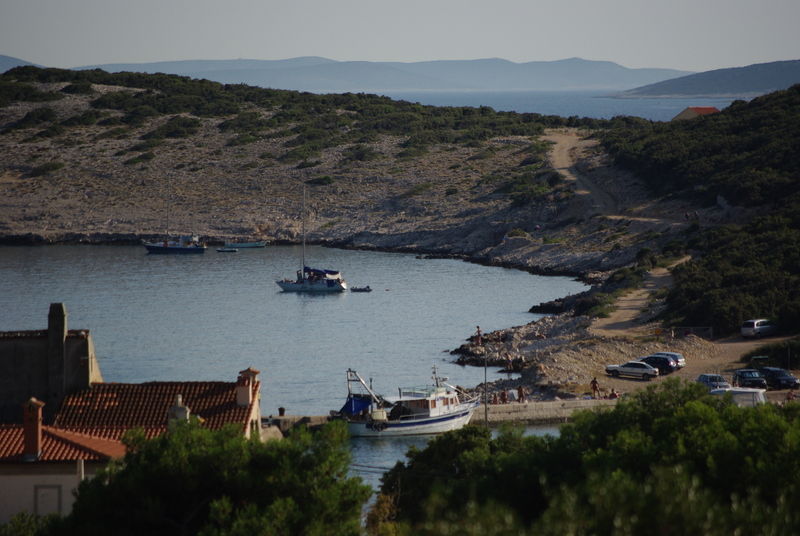 Zlatni Lav 4*