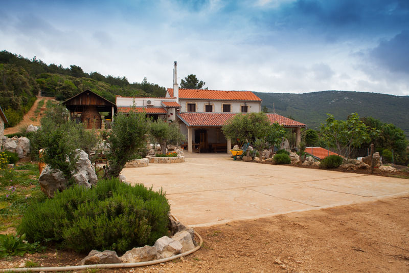 Zlatni Lav 4*
